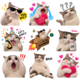 stickers meme gatos